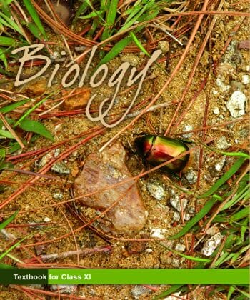 NCERT Class 11 Biology | Latest Edition | With Binding